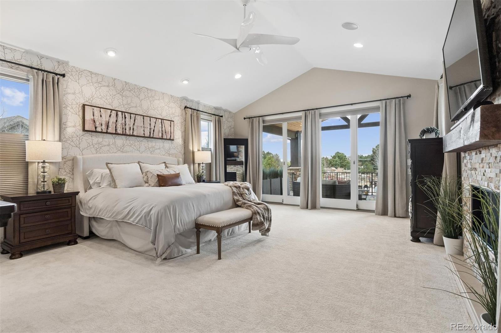 MLS Image #8 for 6719  tremolite drive,castle rock, Colorado