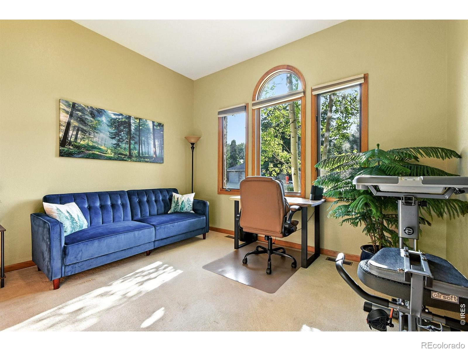 MLS Image #19 for 2020  diamond drive,longmont, Colorado