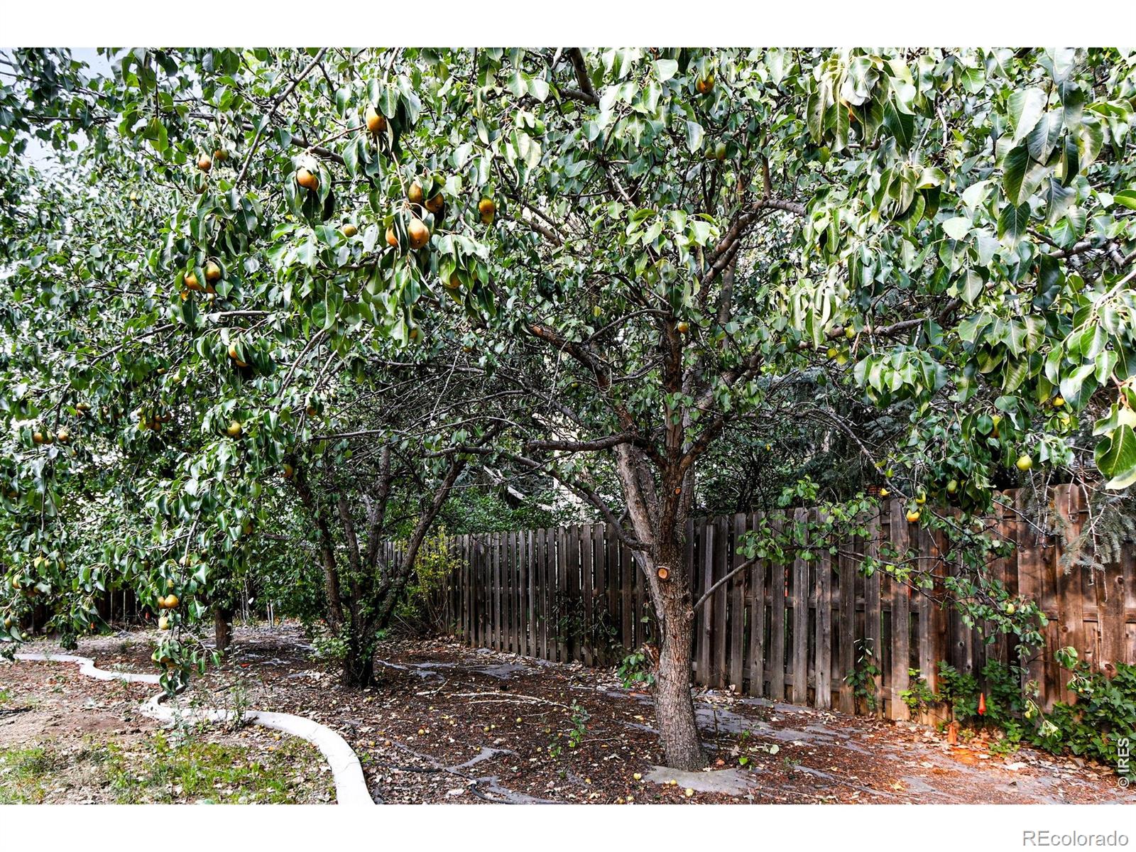 MLS Image #36 for 2020  diamond drive,longmont, Colorado
