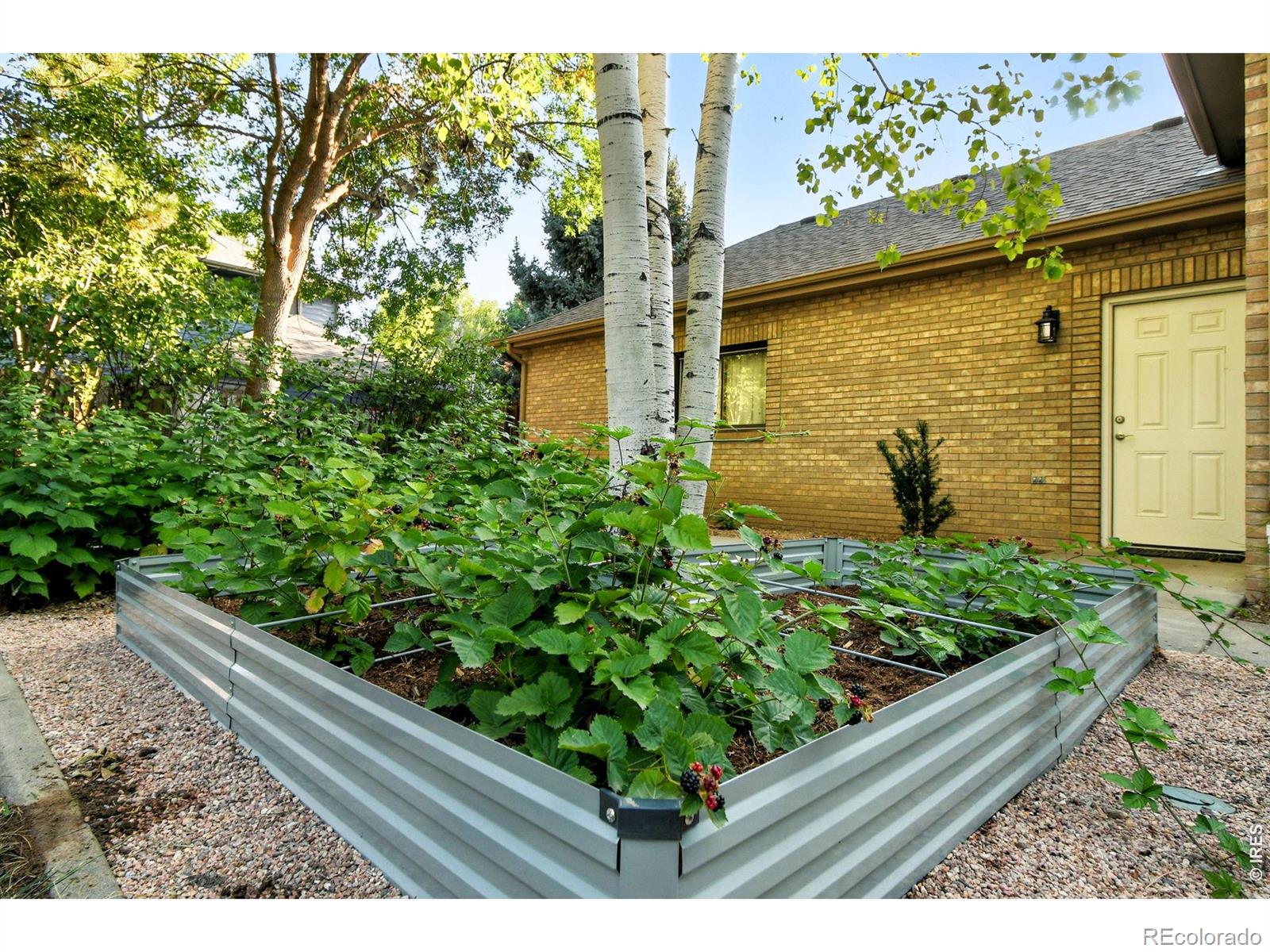 MLS Image #40 for 2020  diamond drive,longmont, Colorado