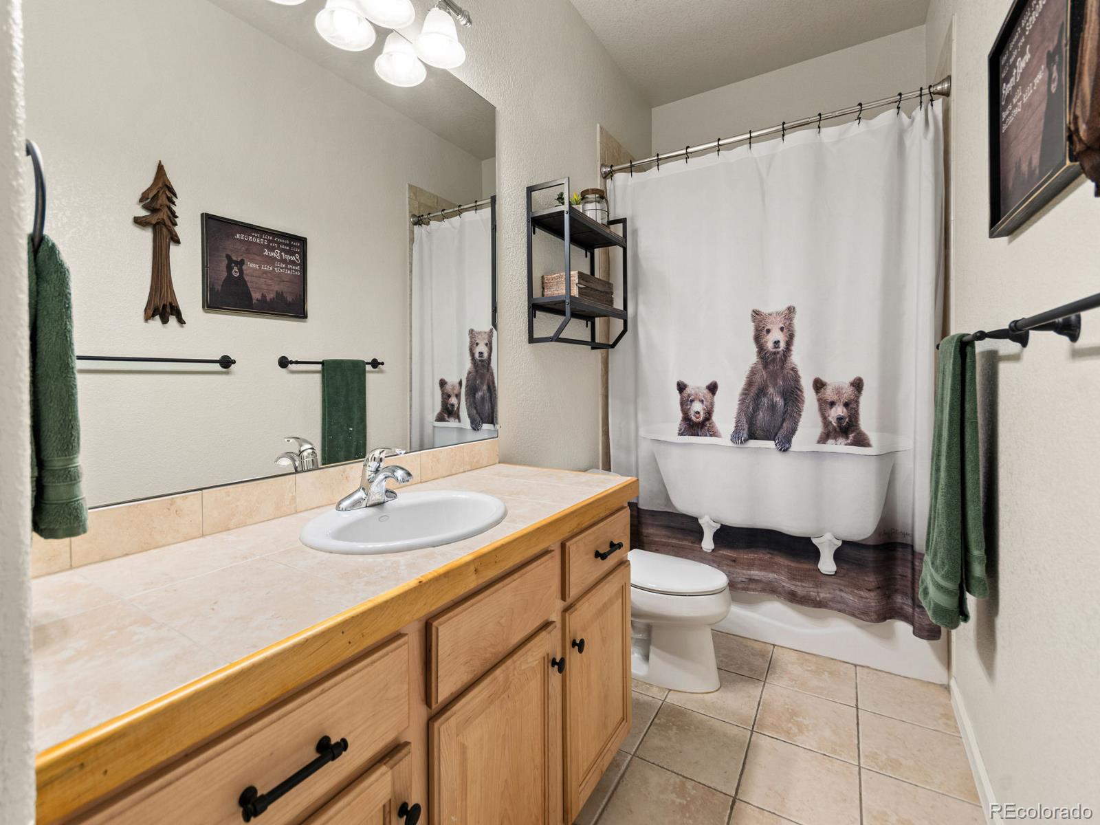 MLS Image #26 for 3109  moonshadow lane,evergreen, Colorado