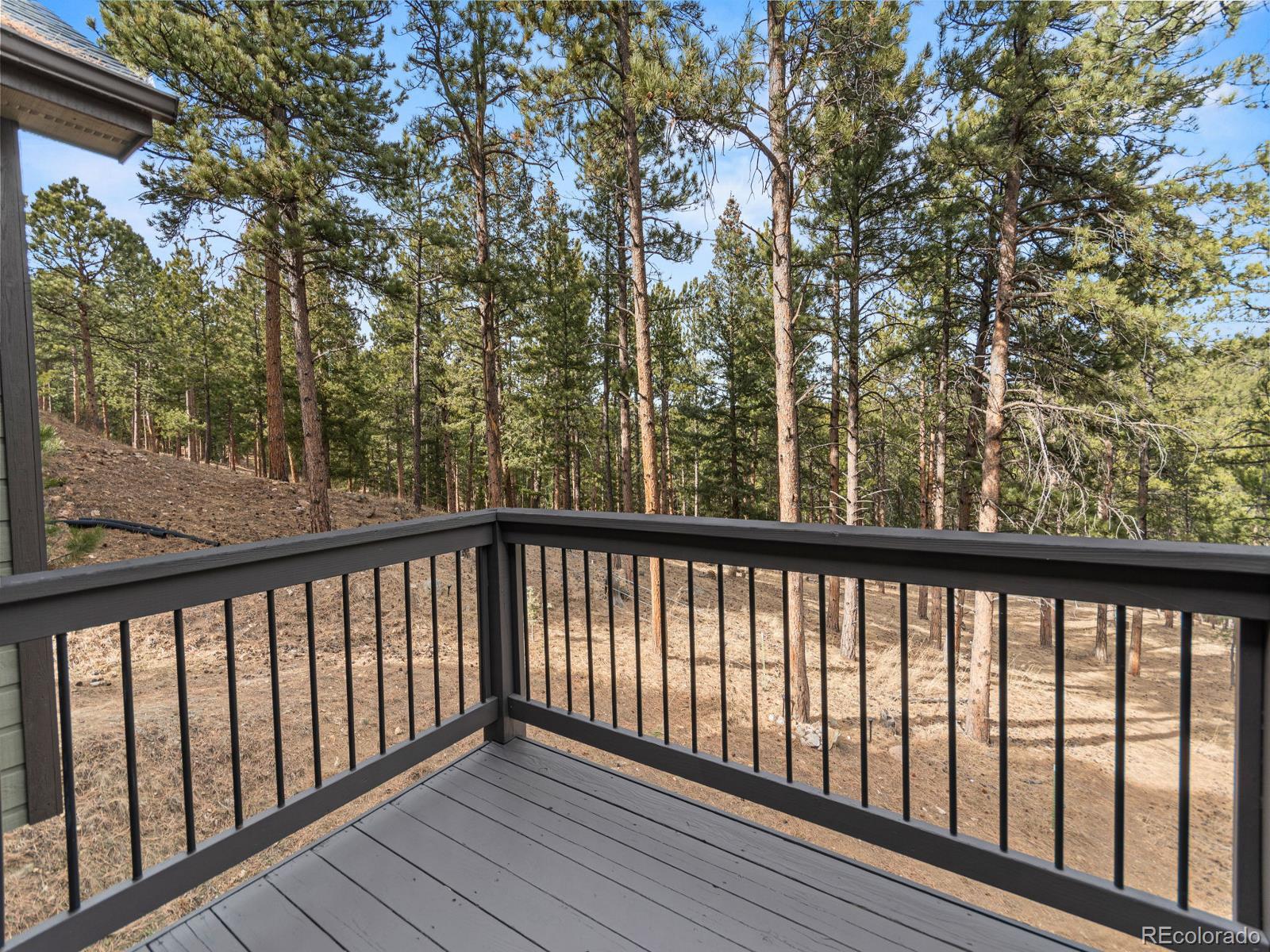 MLS Image #38 for 3109  moonshadow lane,evergreen, Colorado