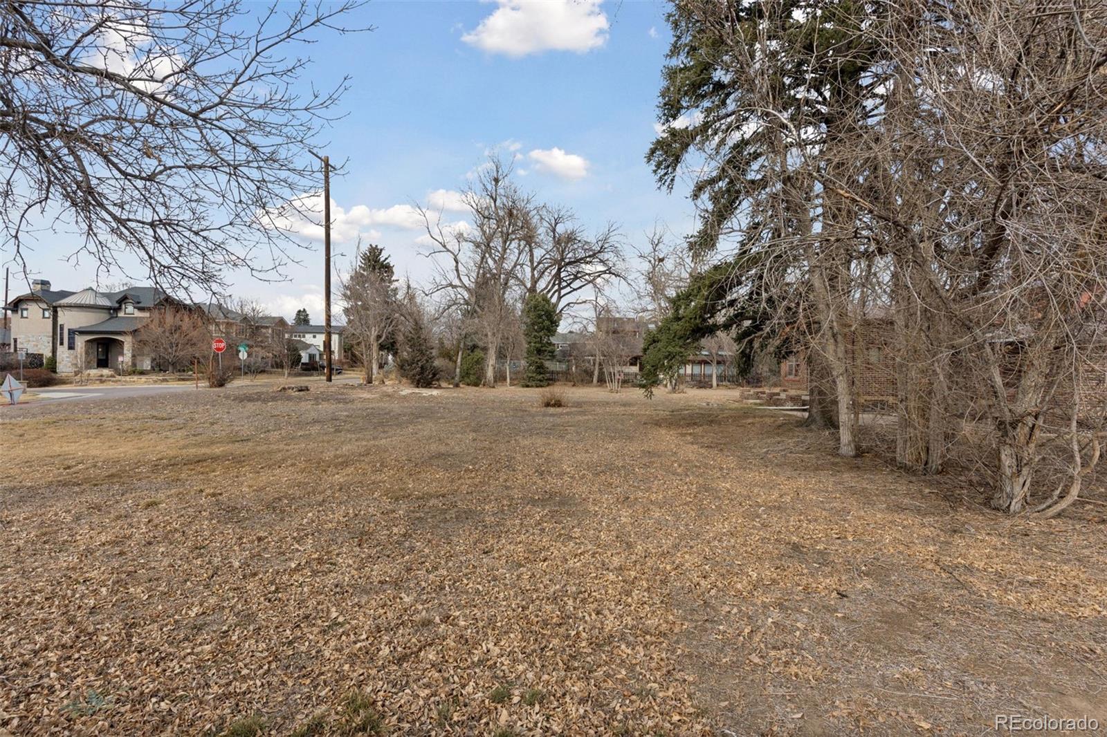 MLS Image #8 for 1600 s saint paul street,denver, Colorado
