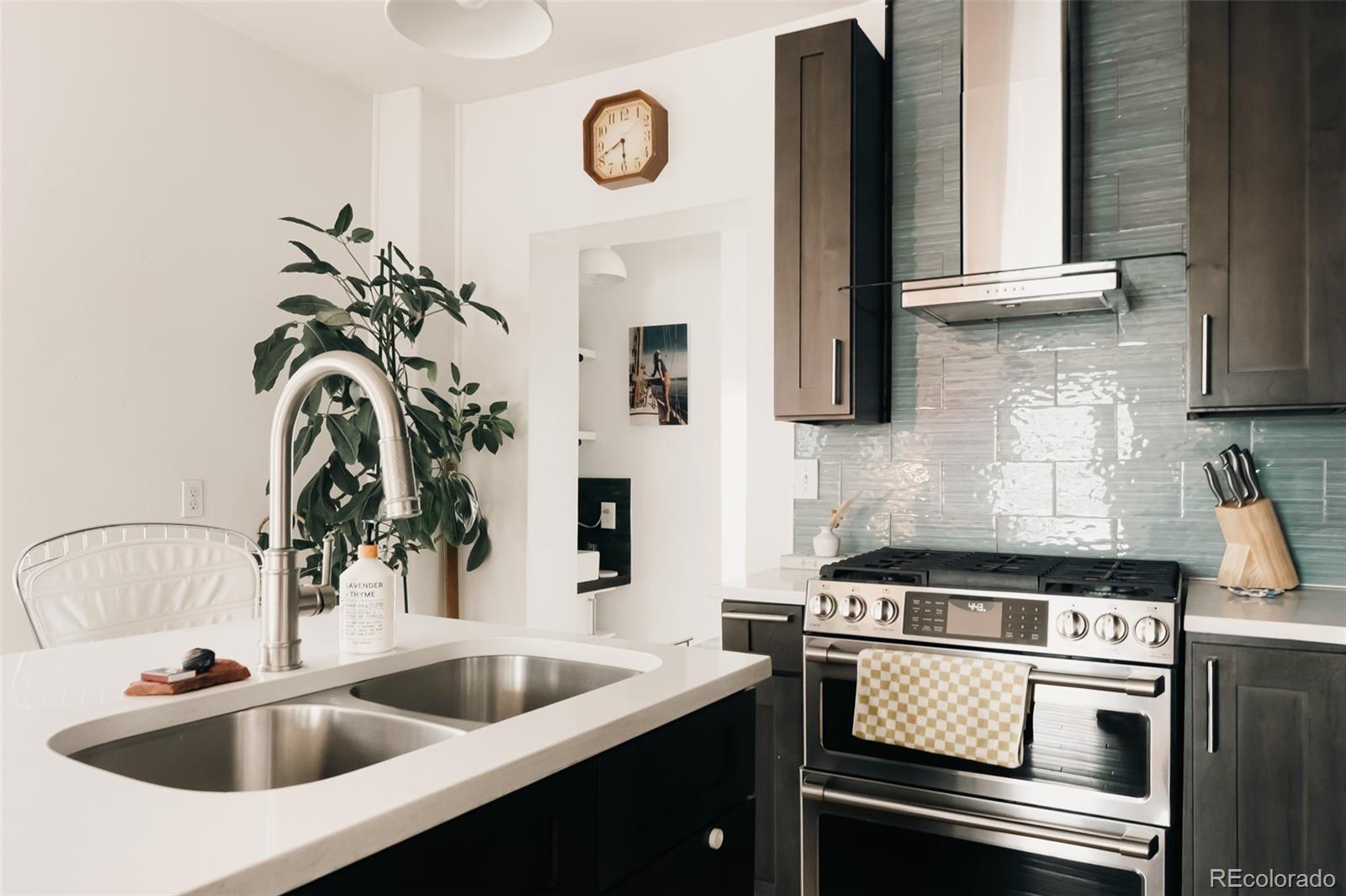 MLS Image #10 for 3746  jason street,denver, Colorado