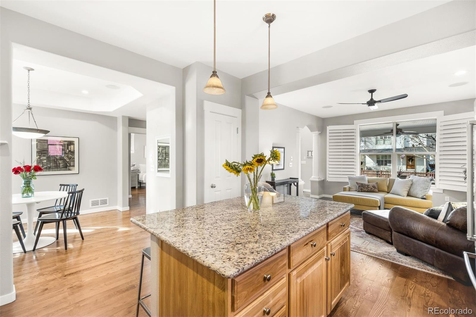 MLS Image #7 for 2521  alton street,denver, Colorado