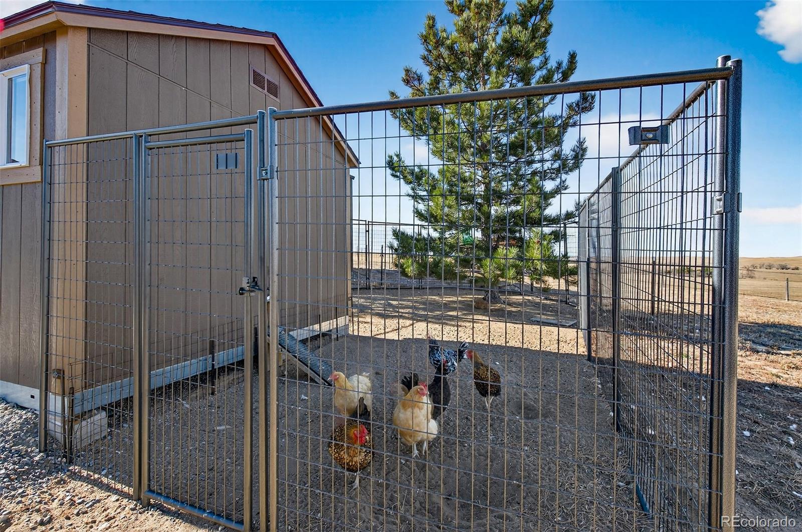 MLS Image #45 for 45035  antler circle,elizabeth, Colorado