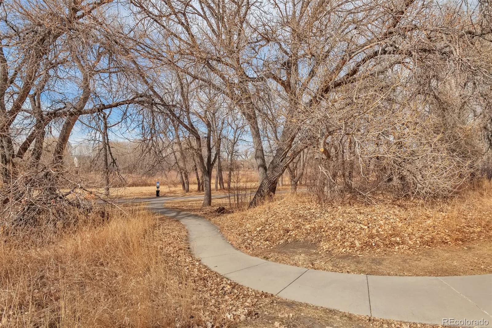 MLS Image #27 for 10823  twenty mile road 208,parker, Colorado