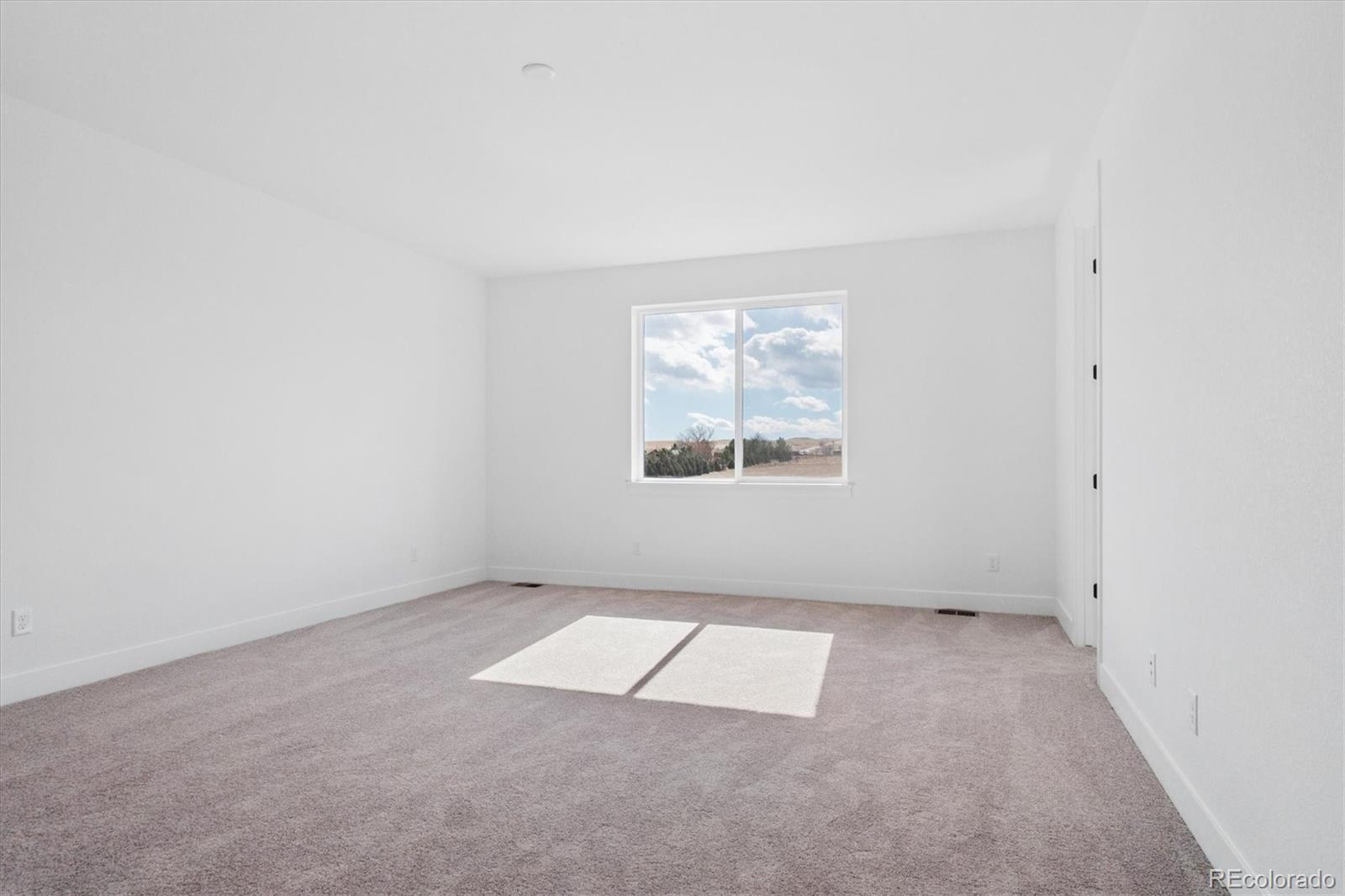 MLS Image #29 for 8611  yellowcress street,littleton, Colorado