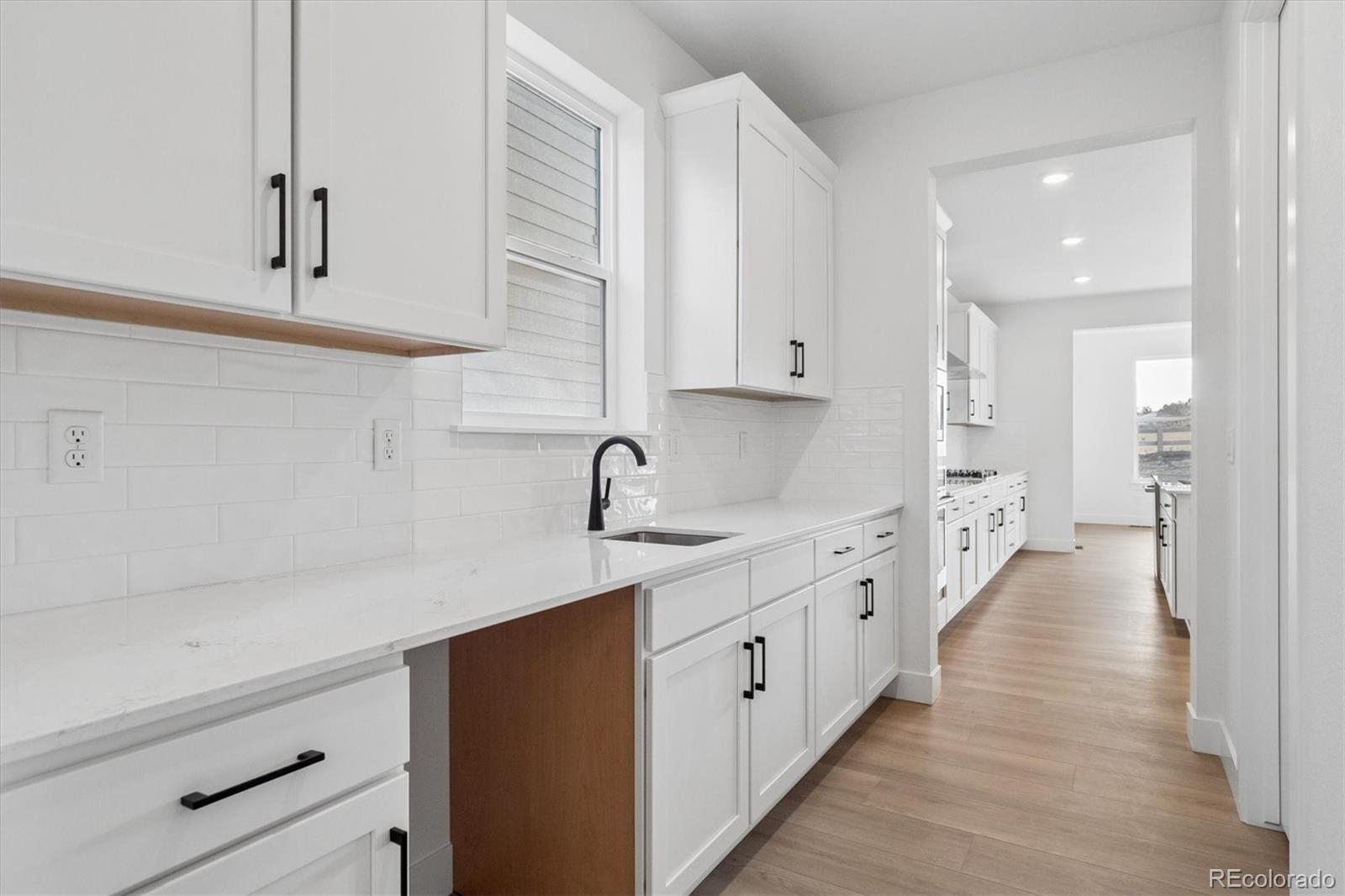 MLS Image #5 for 8611  yellowcress street,littleton, Colorado