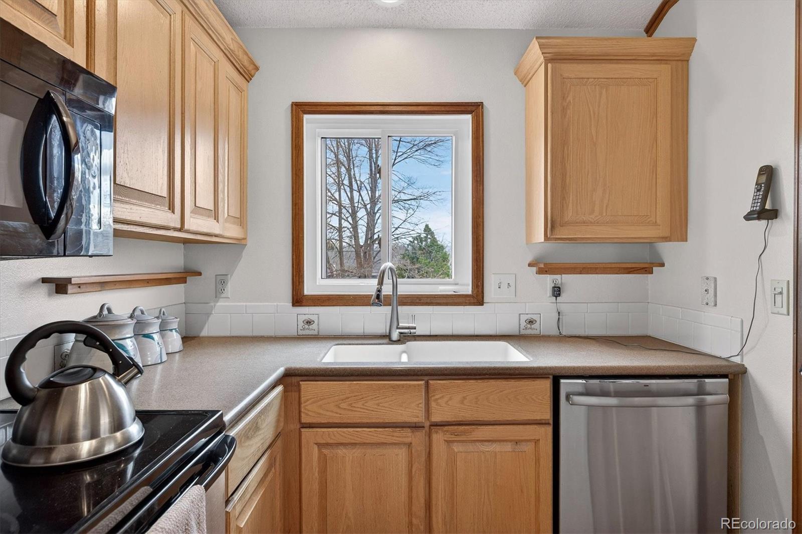 MLS Image #17 for 167  mount massive way,longmont, Colorado