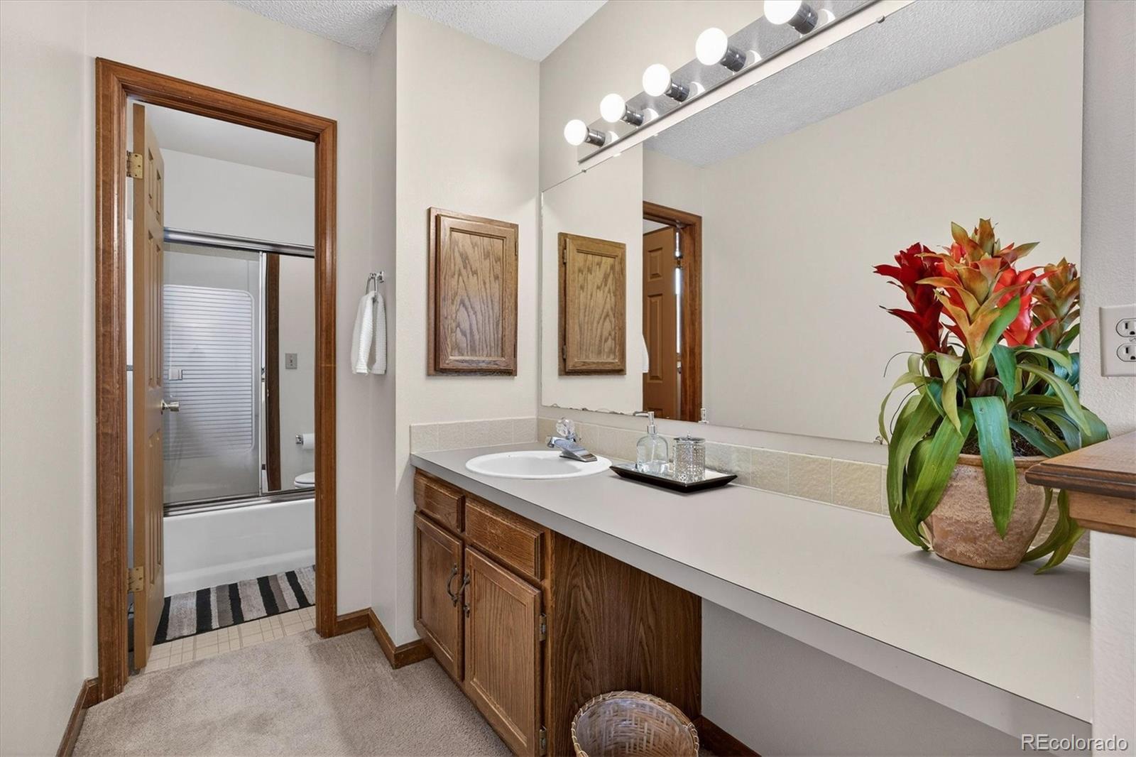 MLS Image #21 for 167  mount massive way,longmont, Colorado