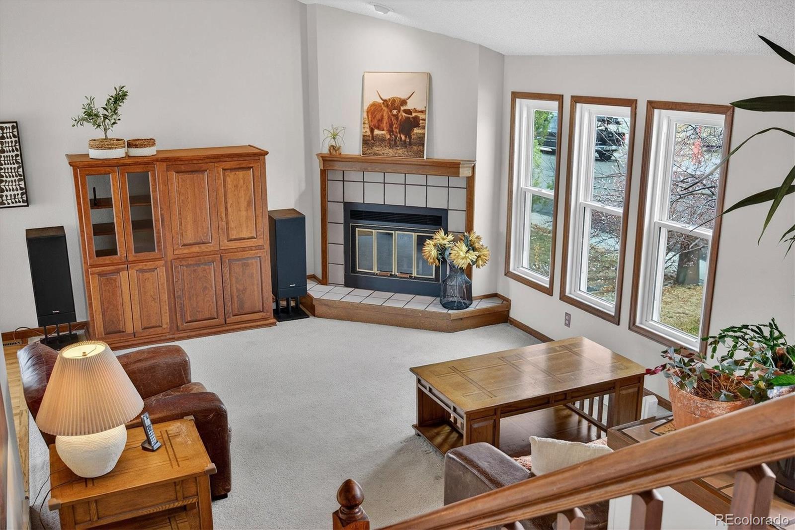 MLS Image #27 for 167  mount massive way,longmont, Colorado