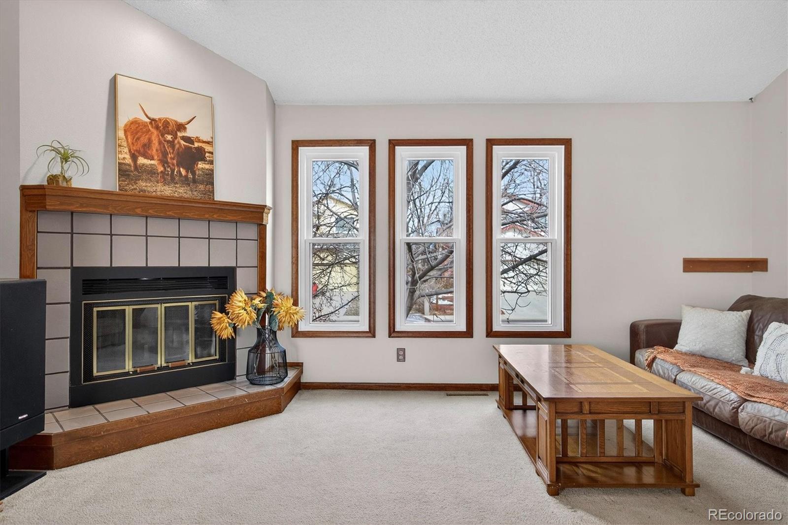 MLS Image #6 for 167  mount massive way,longmont, Colorado