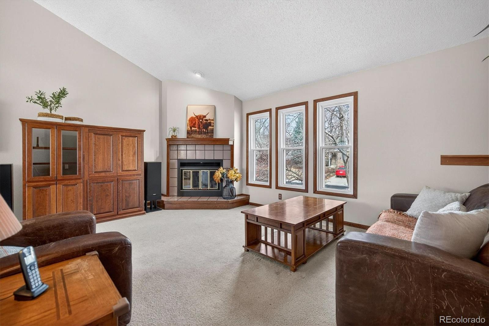 MLS Image #7 for 167  mount massive way,longmont, Colorado