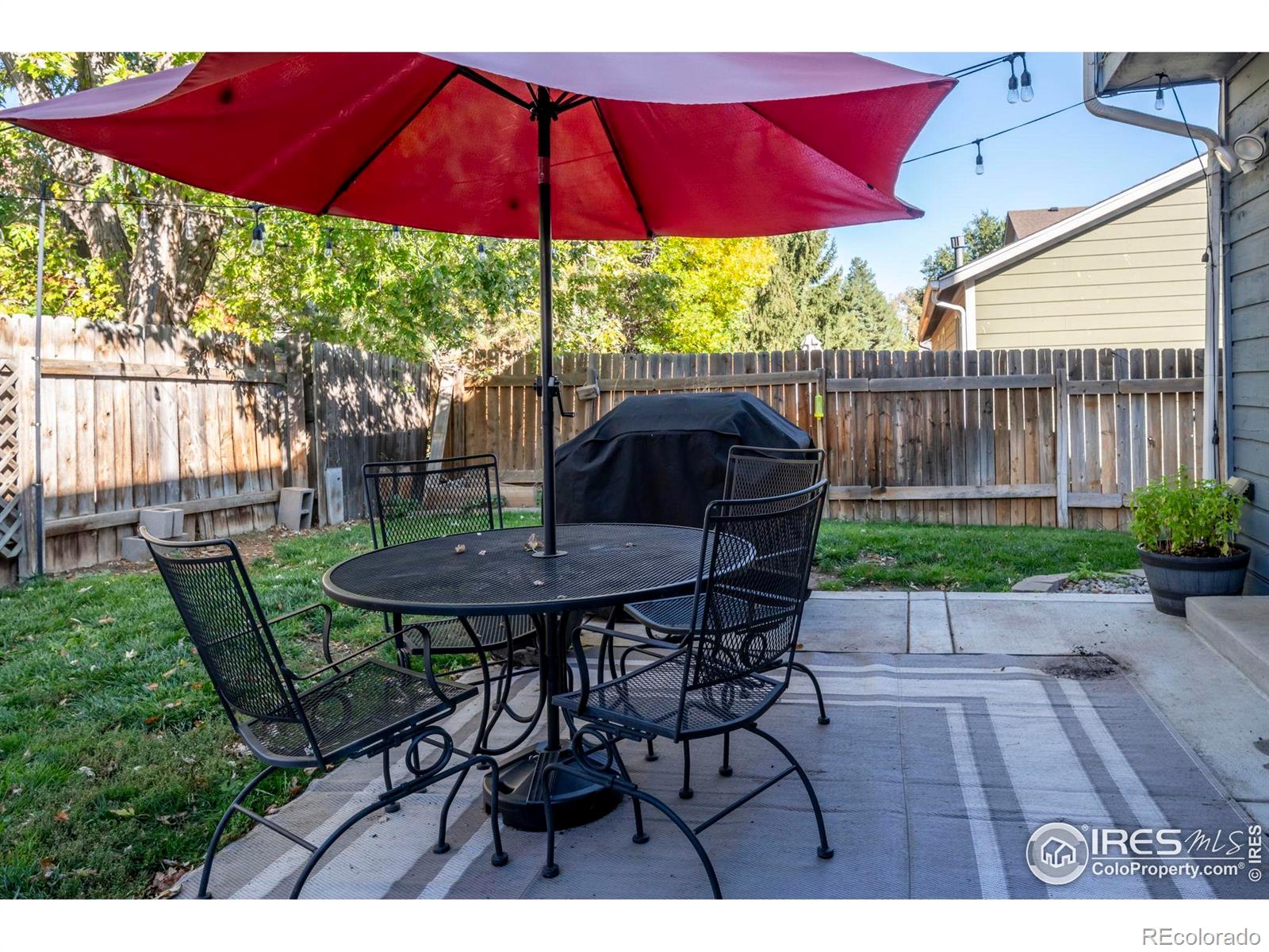 MLS Image #4 for 421 s dover avenue,lafayette, Colorado