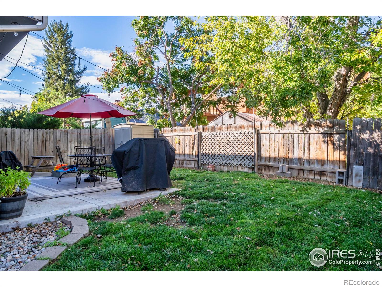 MLS Image #5 for 421 s dover avenue,lafayette, Colorado