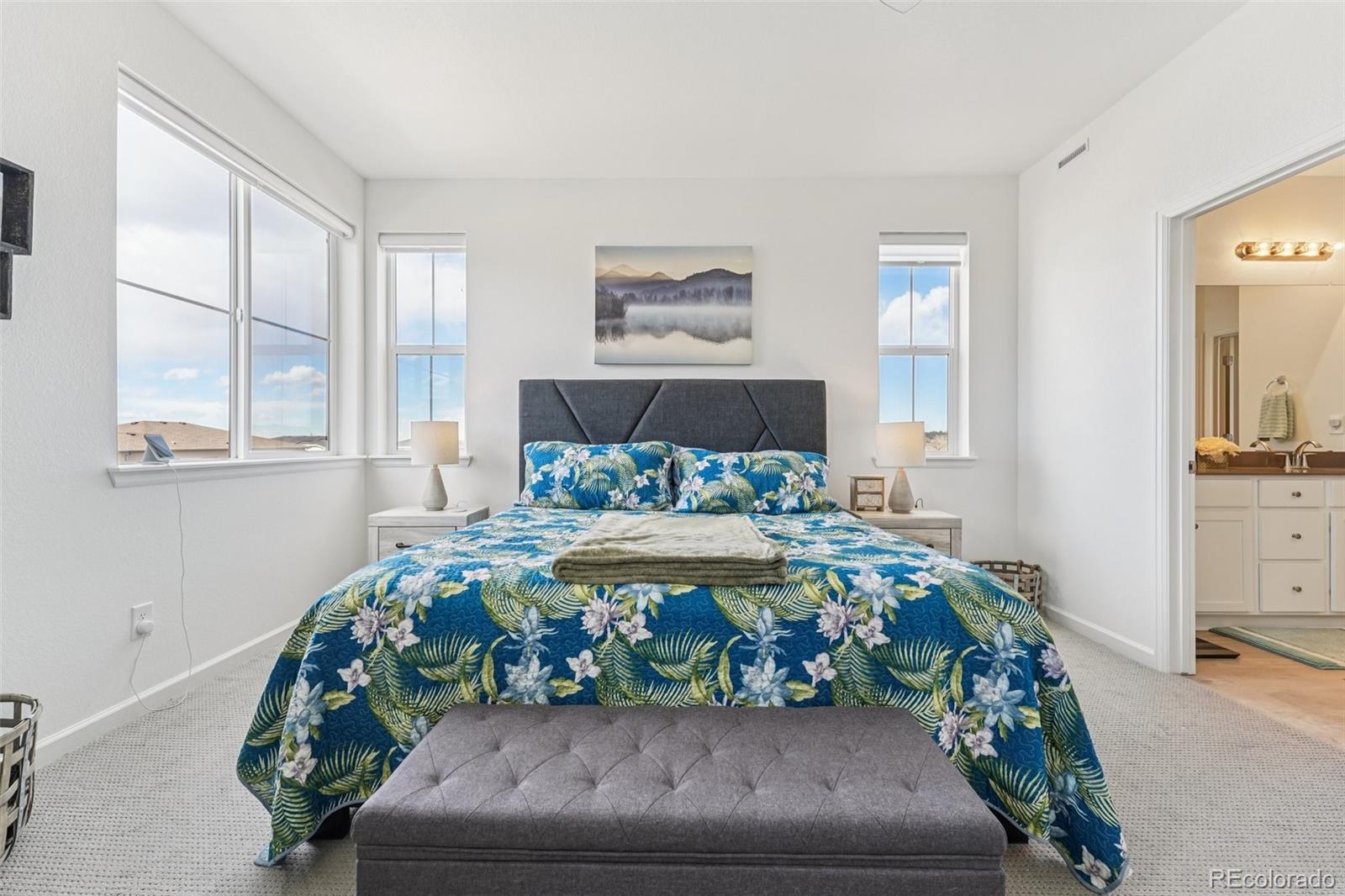 MLS Image #17 for 12656  boggs street ,parker, Colorado