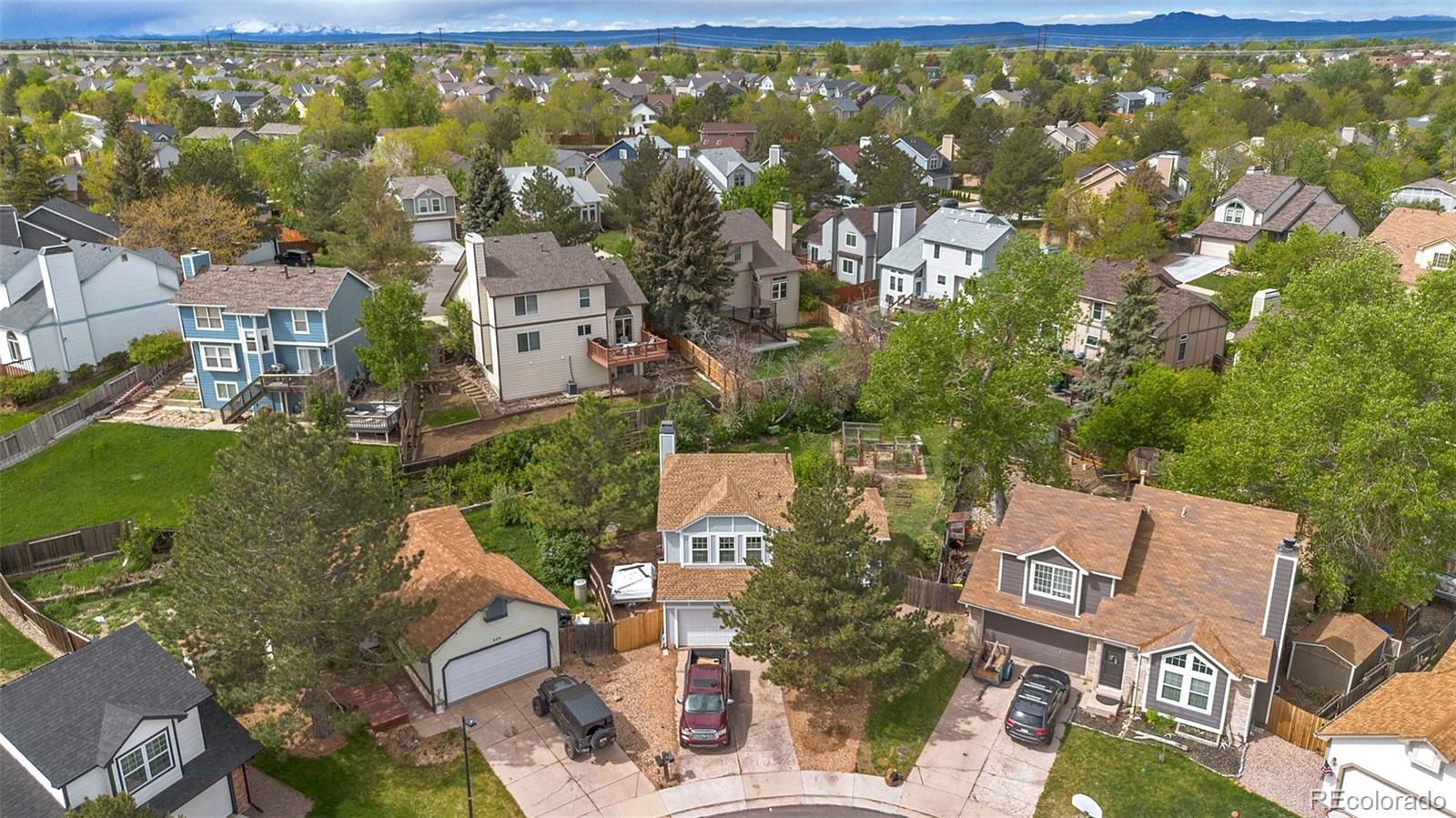 MLS Image #6 for 613 n brentwood court,castle rock, Colorado