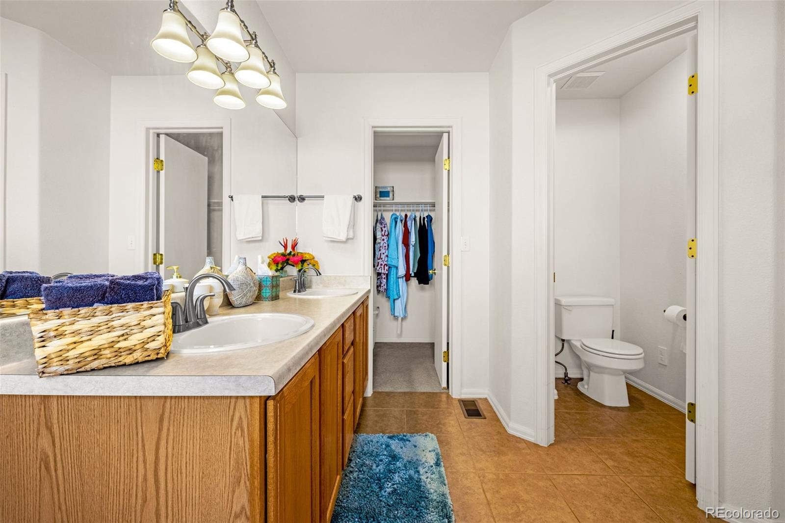 MLS Image #21 for 3032  ellesmere drive,colorado springs, Colorado