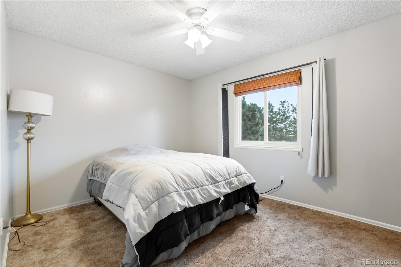 MLS Image #16 for 9260 e blue sage circle,colorado springs, Colorado