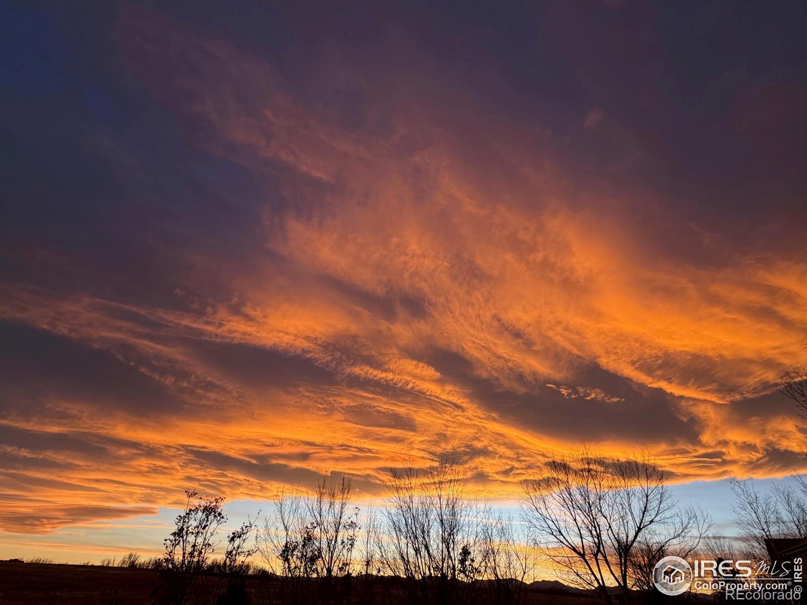MLS Image #41 for 1412  westin drive,erie, Colorado