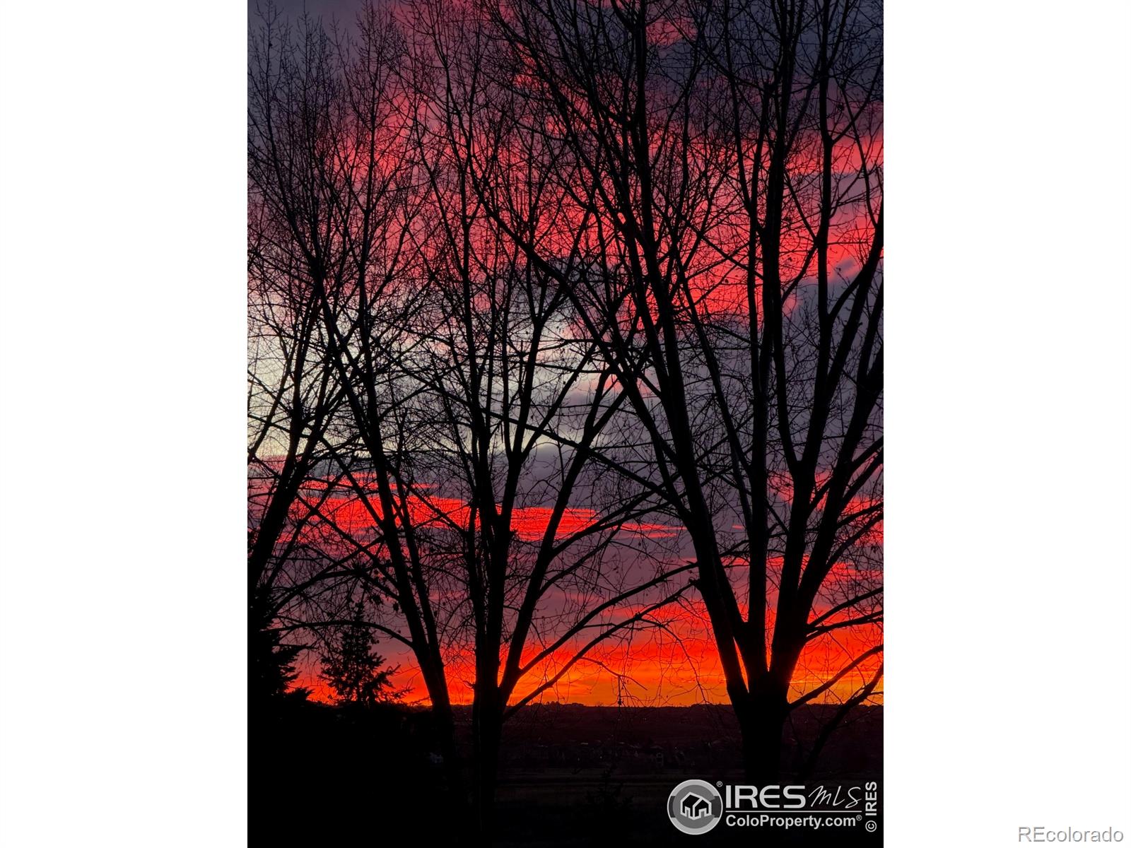 MLS Image #5 for 1412  westin drive,erie, Colorado