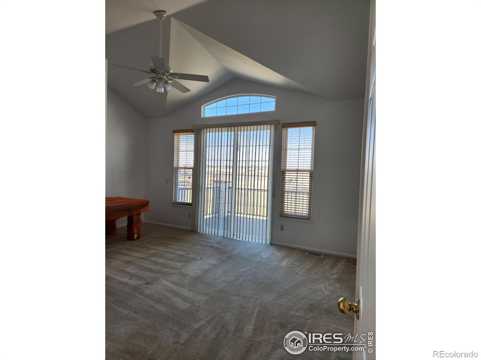 MLS Image #13 for 3343  compass circle,castle rock, Colorado