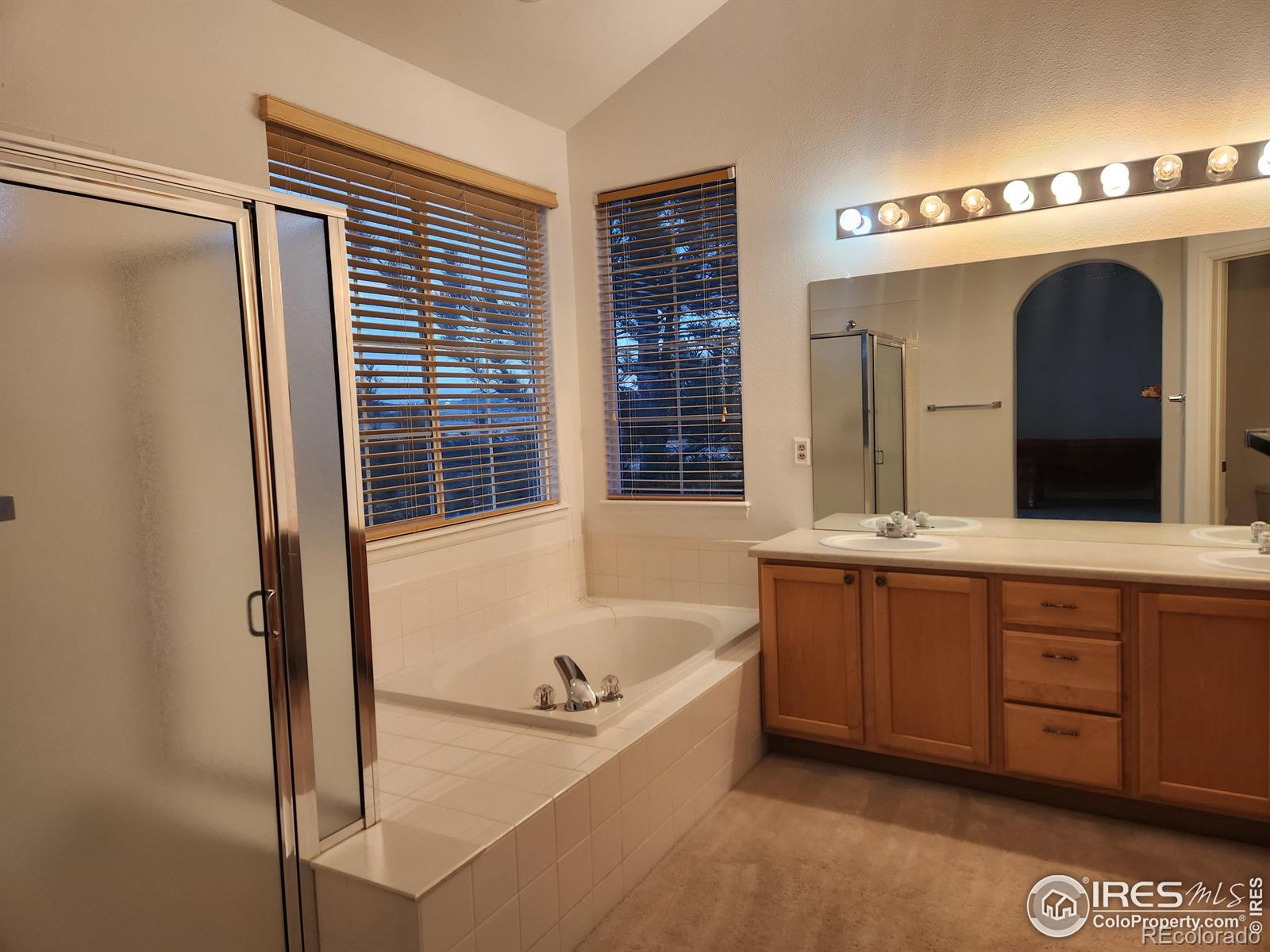 MLS Image #14 for 3343  compass circle,castle rock, Colorado