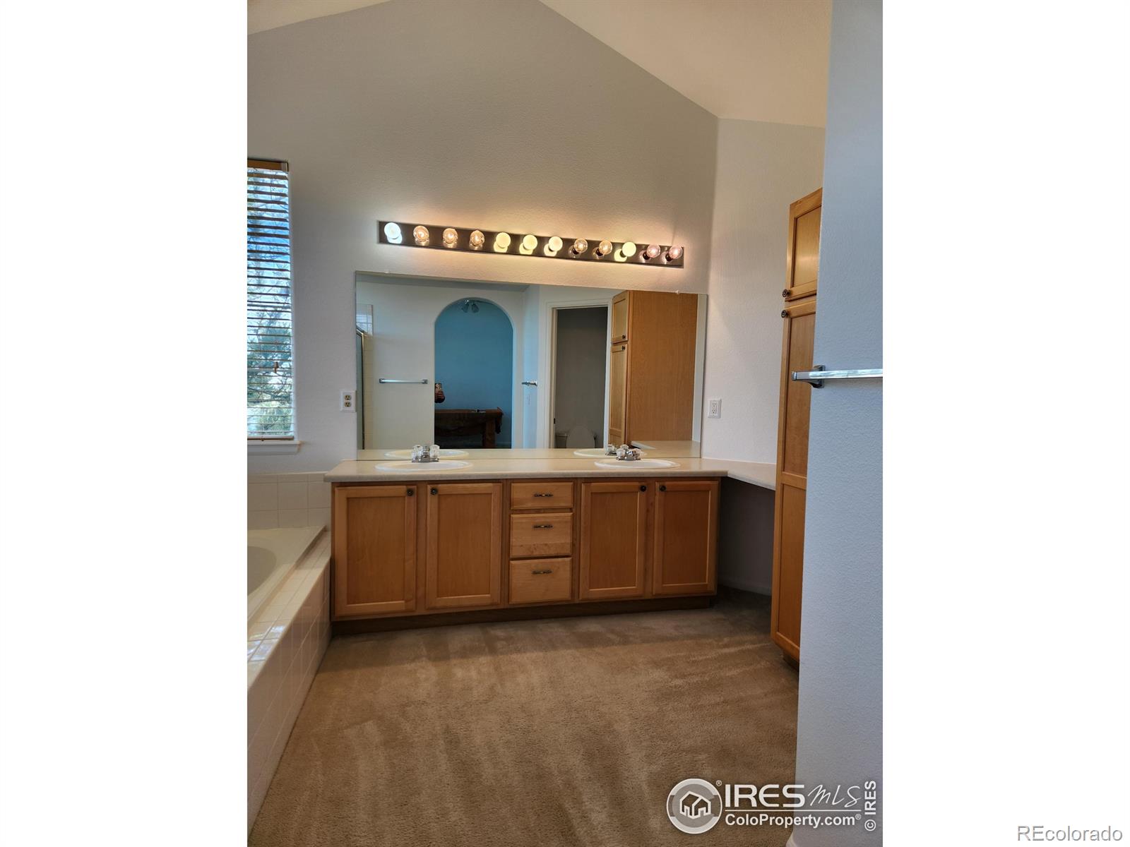 MLS Image #15 for 3343  compass circle,castle rock, Colorado