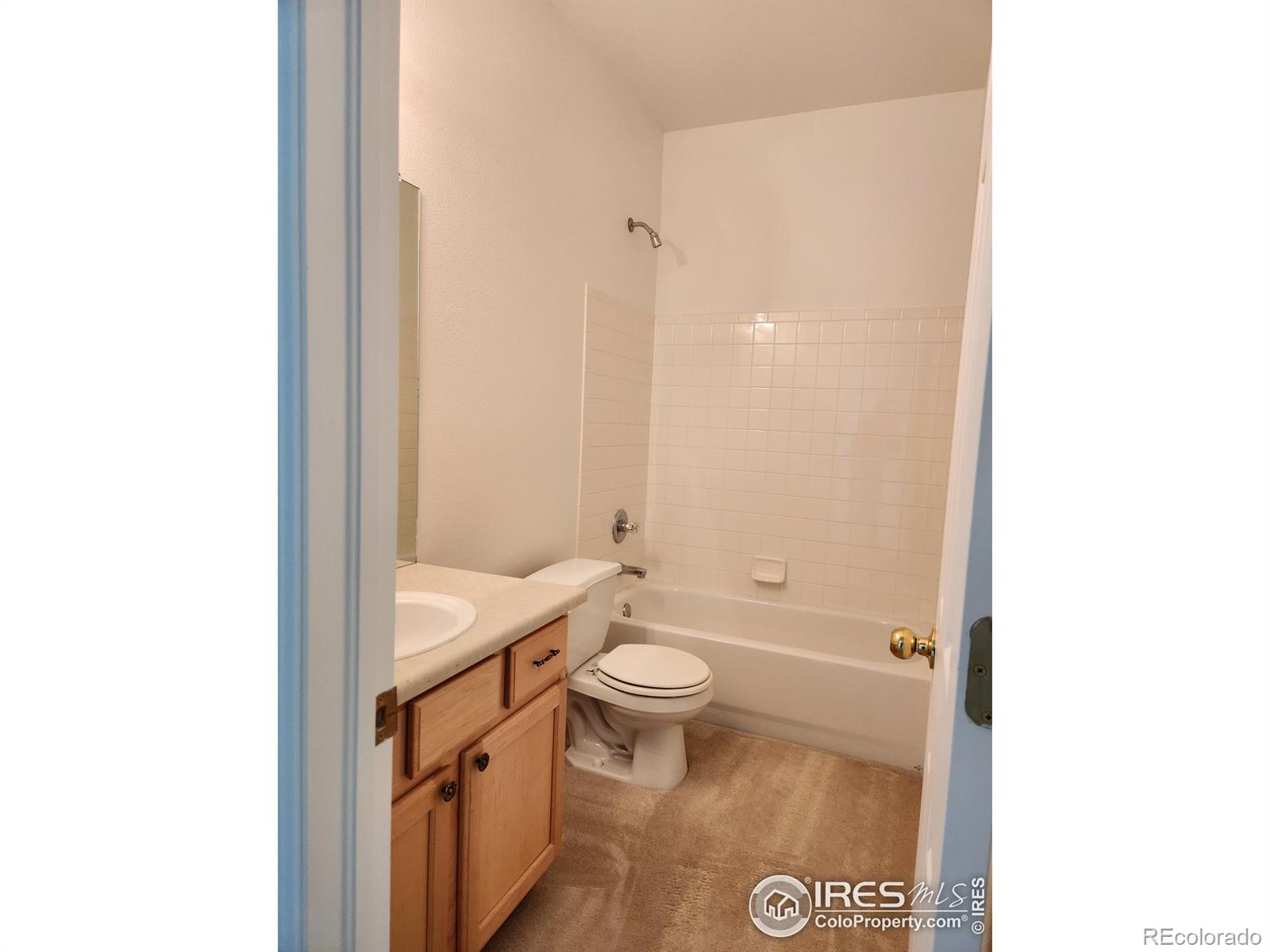 MLS Image #24 for 3343  compass circle,castle rock, Colorado
