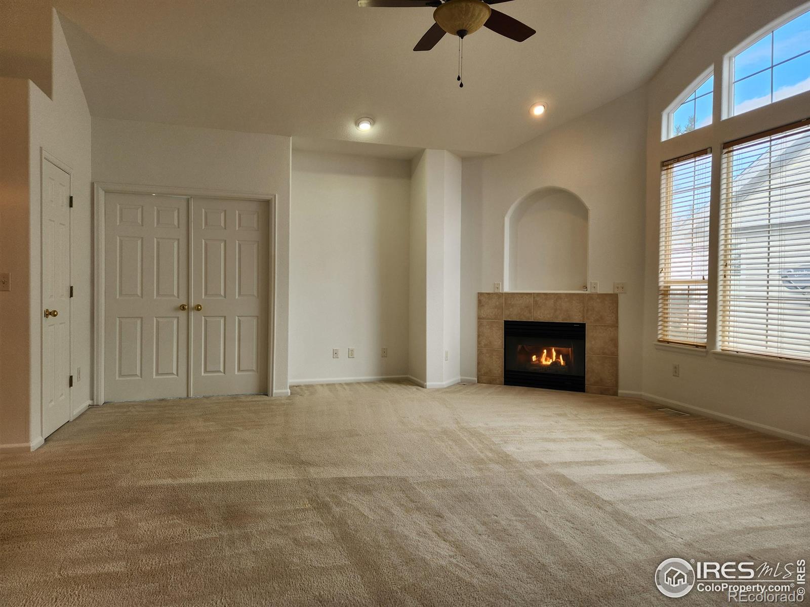MLS Image #8 for 3343  compass circle,castle rock, Colorado