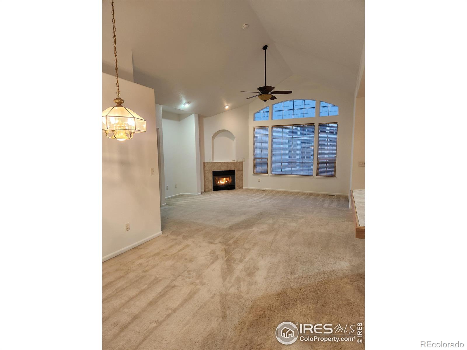 MLS Image #9 for 3343  compass circle,castle rock, Colorado