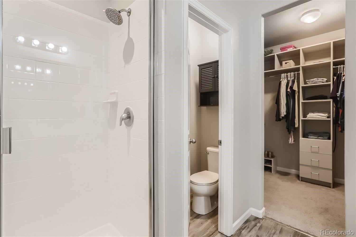 MLS Image #14 for 1102  glen creighton drive,dacono, Colorado
