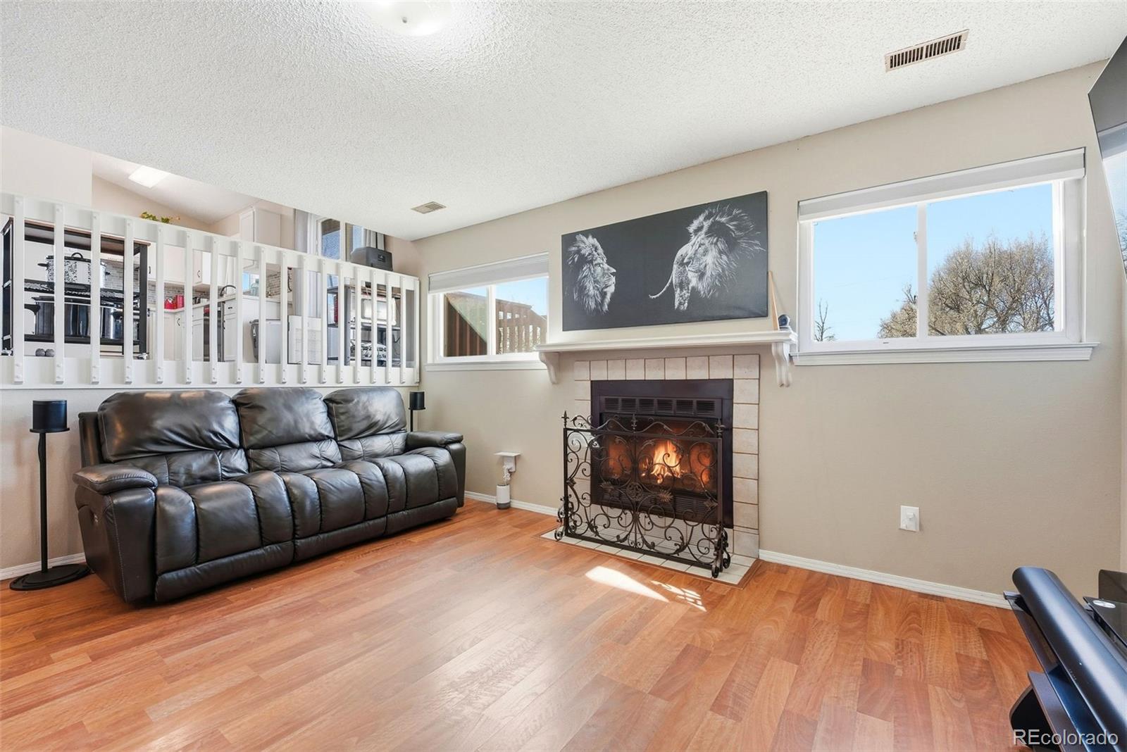MLS Image #10 for 441  pucket circle,colorado springs, Colorado