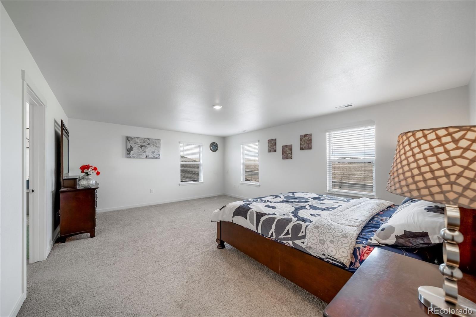 MLS Image #14 for 18149  prince hill circle,parker, Colorado