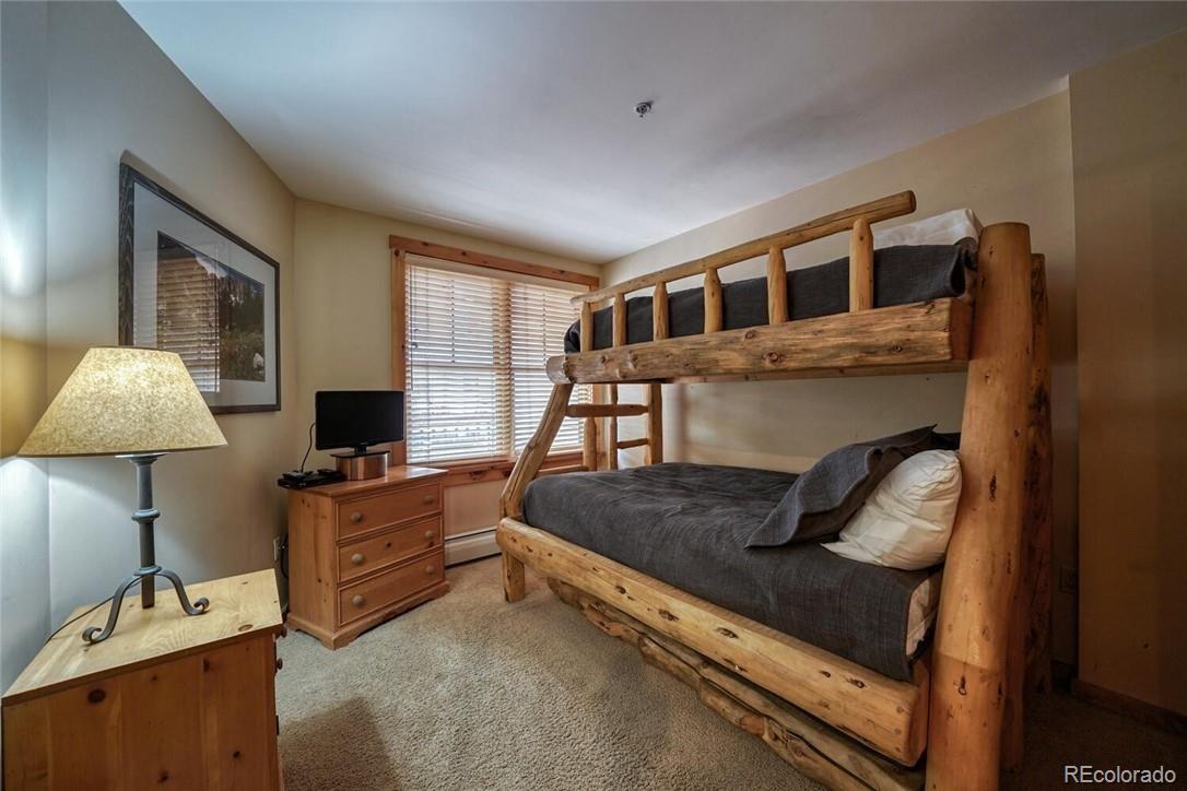 MLS Image #20 for 100  dercum square,dillon, Colorado
