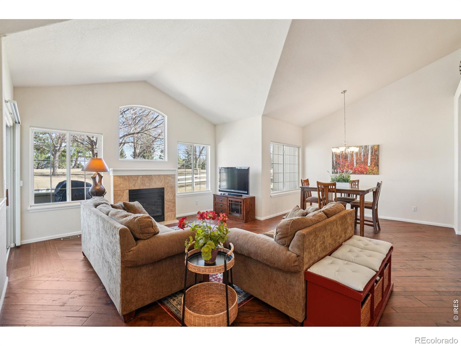 MLS Image #12 for 448  rossum drive,loveland, Colorado