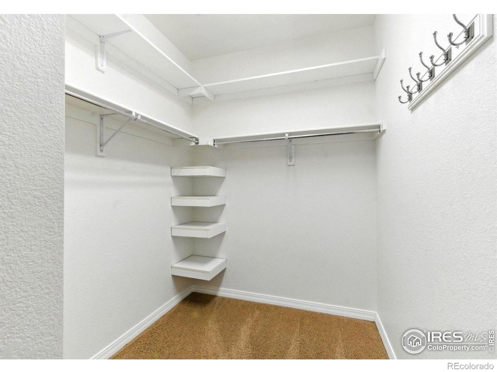 MLS Image #12 for 2450  windrow drive,fort collins, Colorado