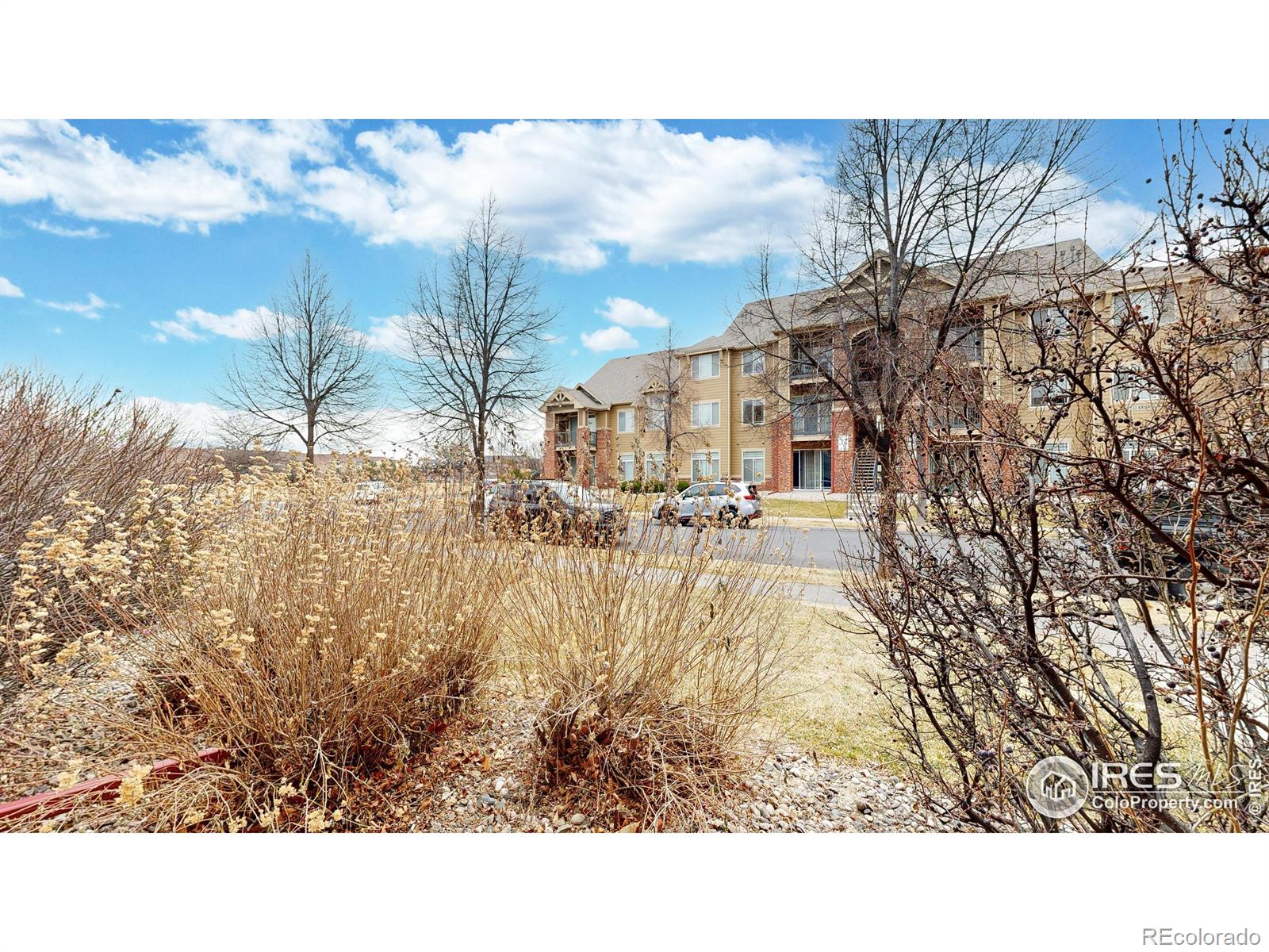 MLS Image #23 for 2450  windrow drive,fort collins, Colorado