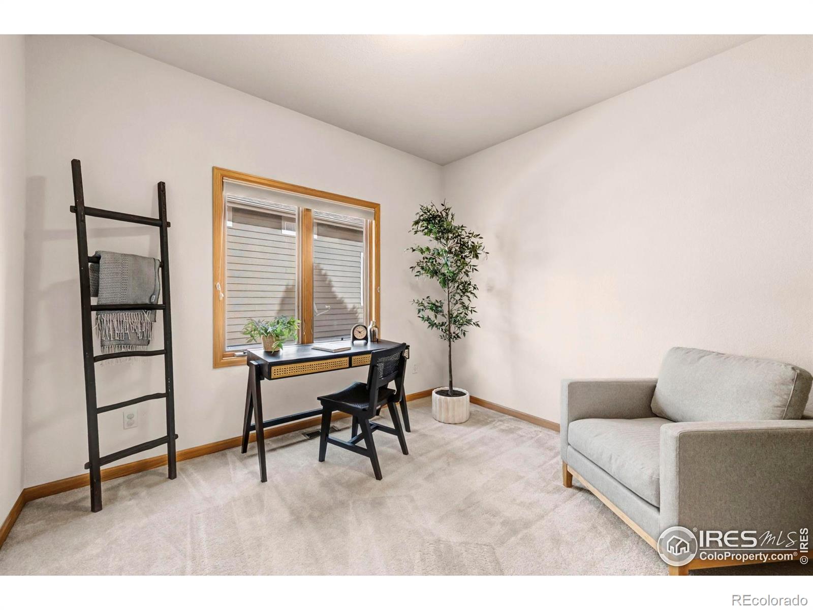 MLS Image #20 for 8302  annapolis drive,windsor, Colorado