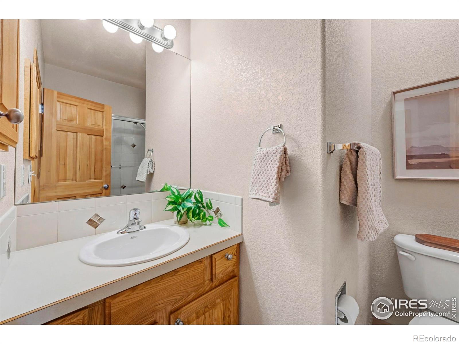 MLS Image #21 for 8302  annapolis drive,windsor, Colorado