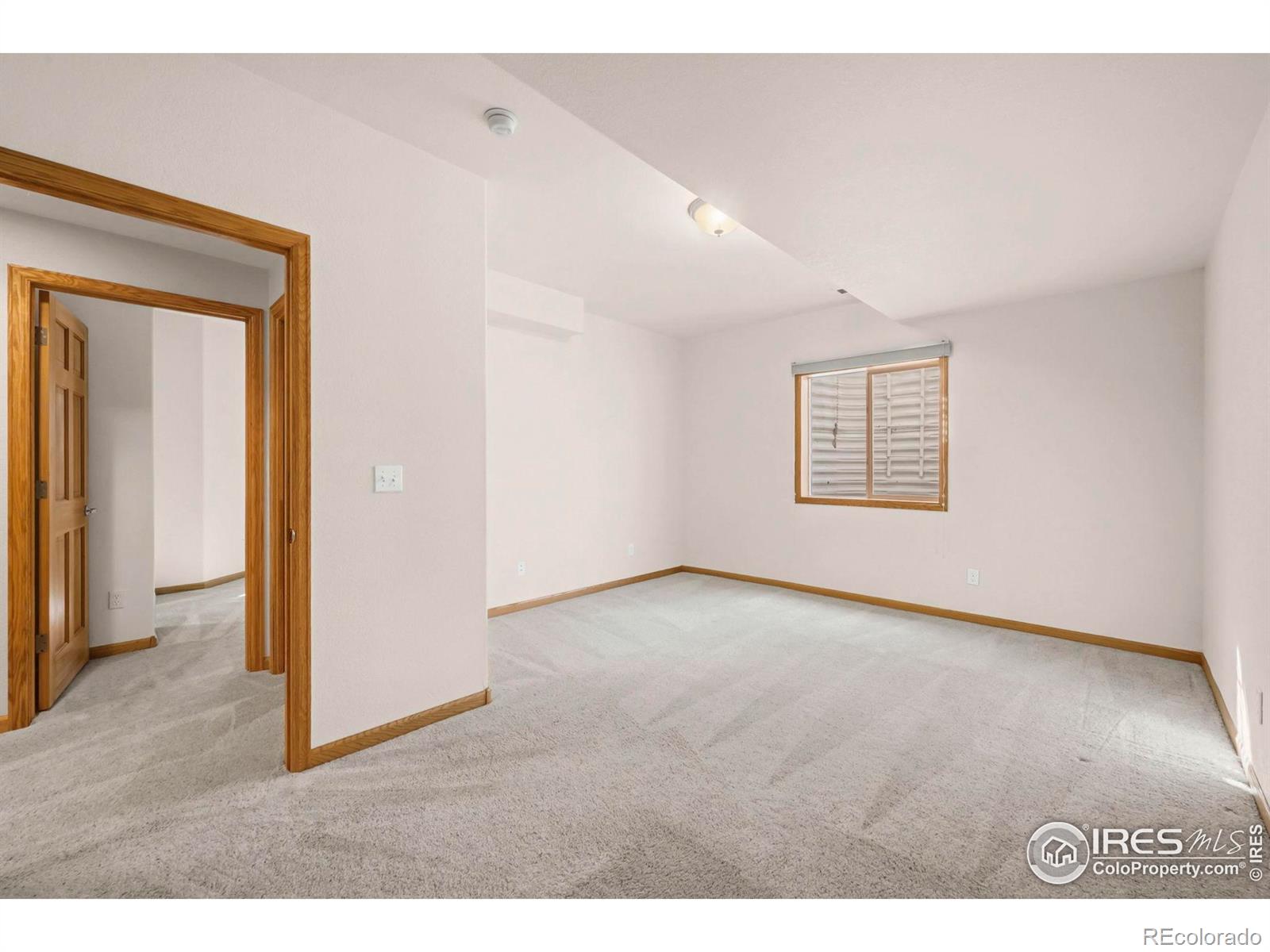 MLS Image #29 for 8302  annapolis drive,windsor, Colorado