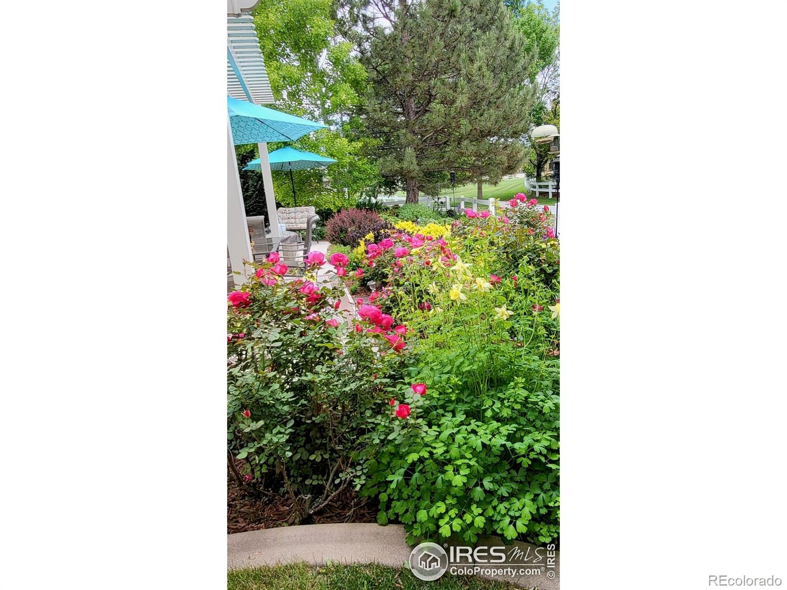 MLS Image #37 for 8302  annapolis drive,windsor, Colorado