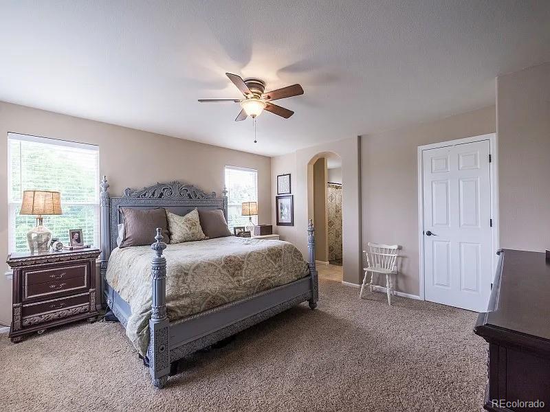 MLS Image #10 for 7053  leopard drive,littleton, Colorado