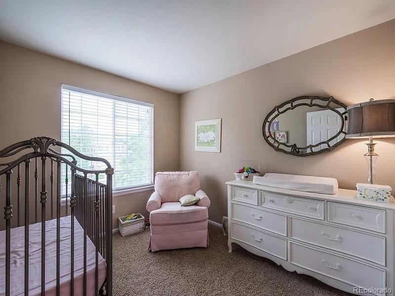 MLS Image #16 for 7053  leopard drive,littleton, Colorado