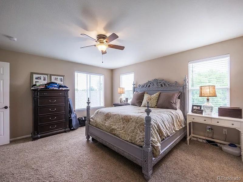 MLS Image #9 for 7053  leopard drive,littleton, Colorado