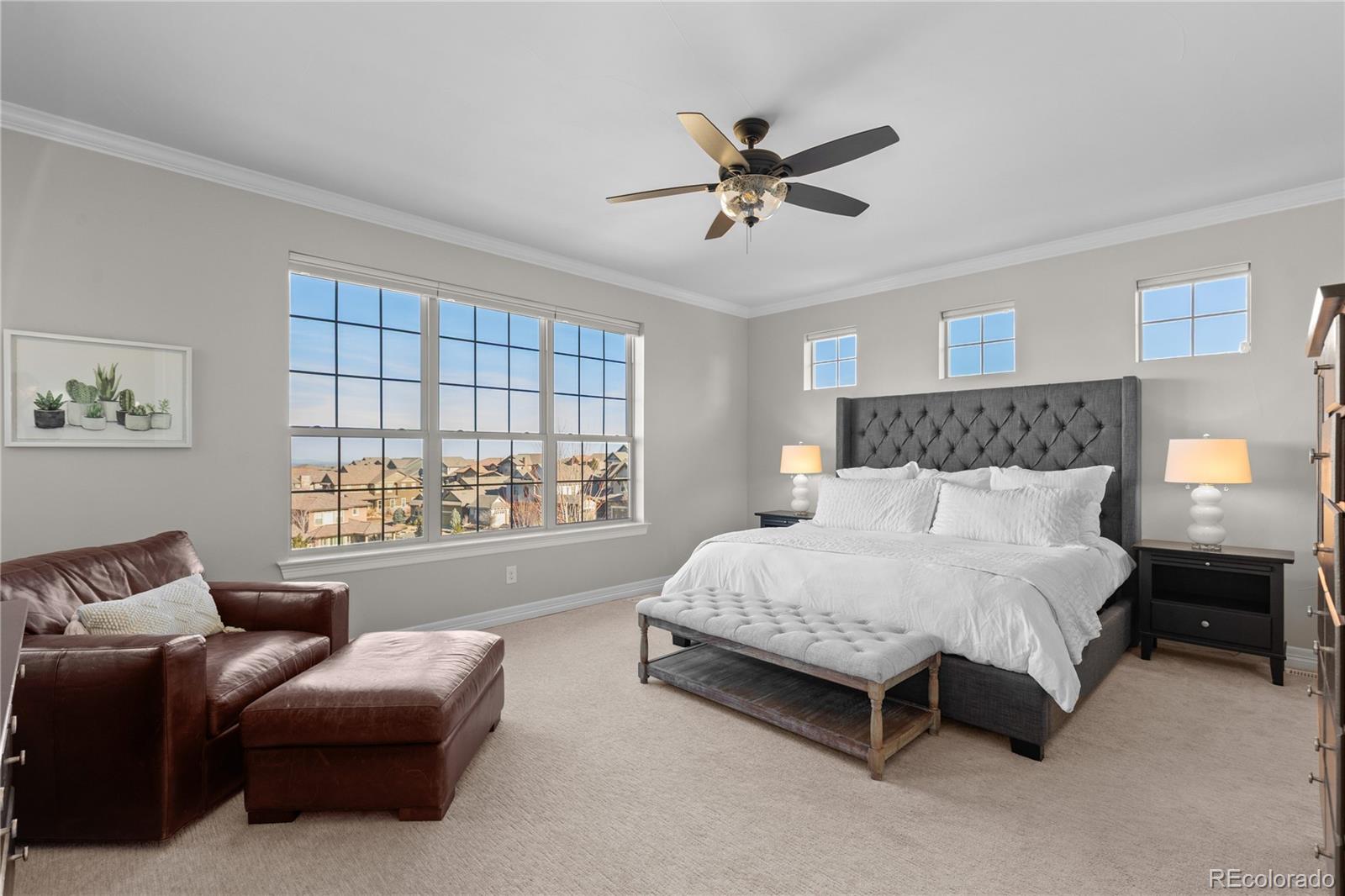 MLS Image #18 for 10769  sundial rim road,highlands ranch, Colorado