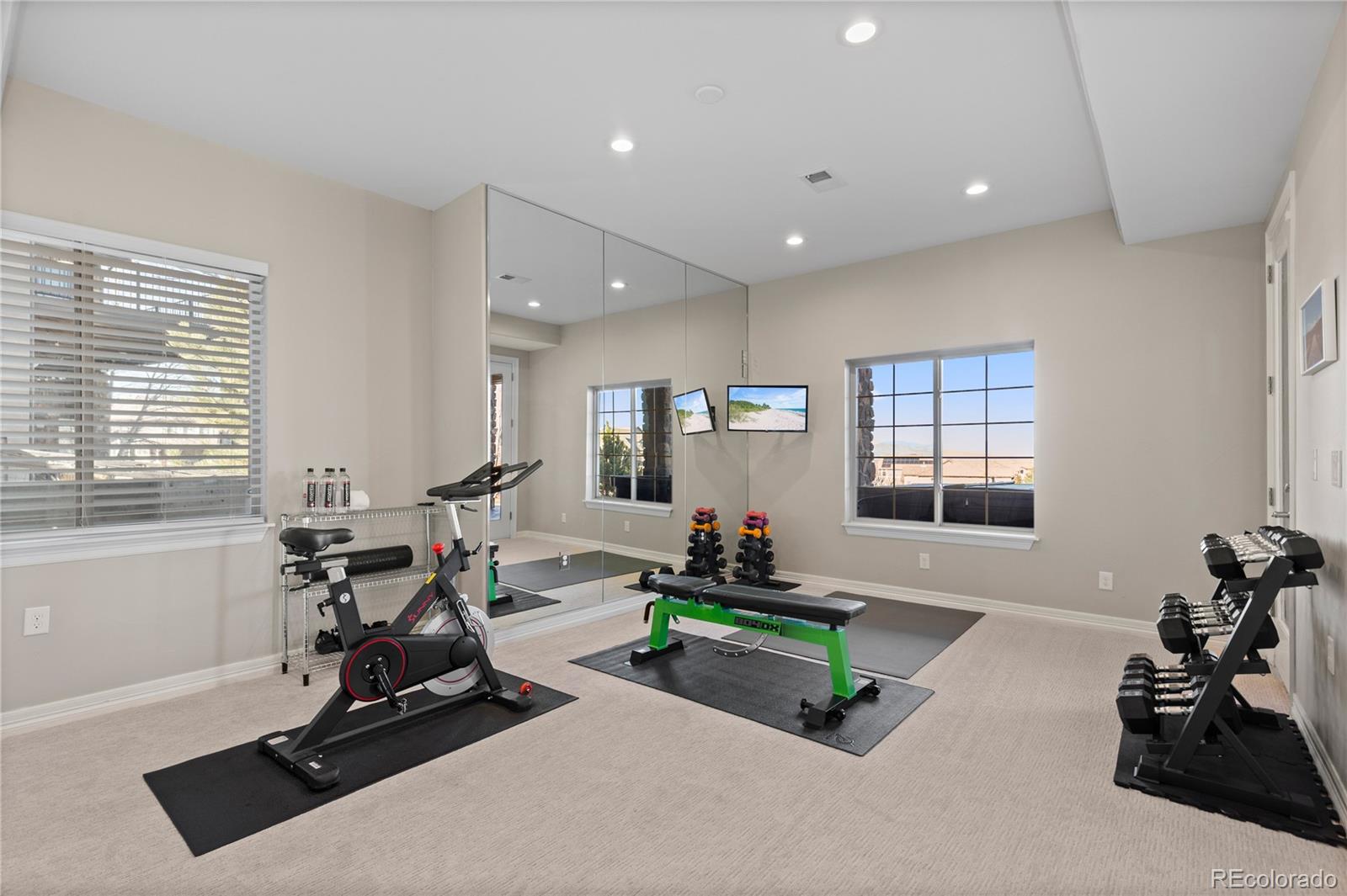 MLS Image #33 for 10769  sundial rim road,highlands ranch, Colorado