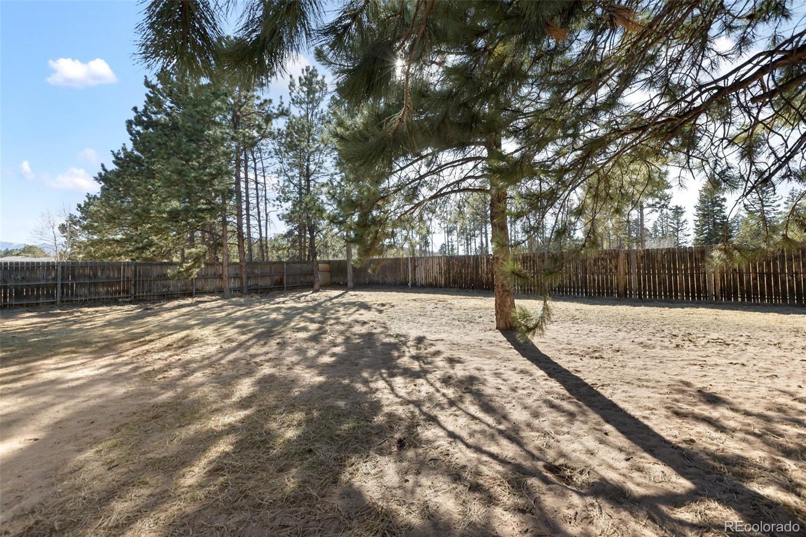 MLS Image #30 for 1220  sundance street,woodland park, Colorado