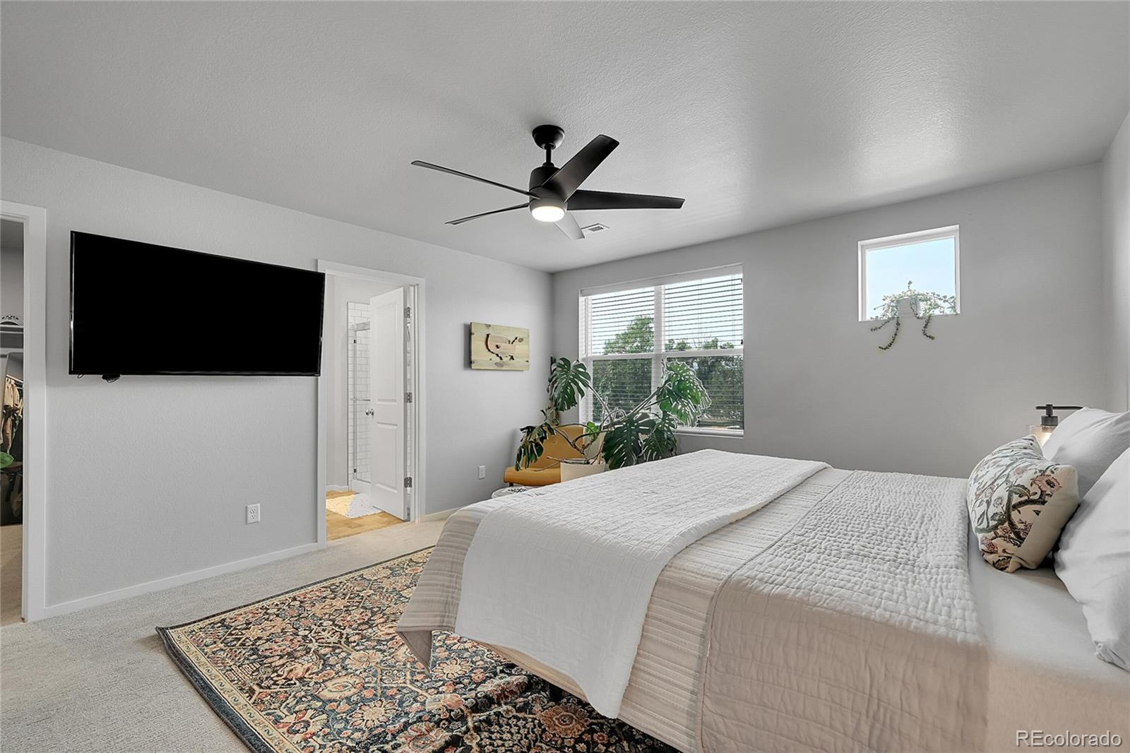 MLS Image #14 for 326  skyraider way,fort collins, Colorado